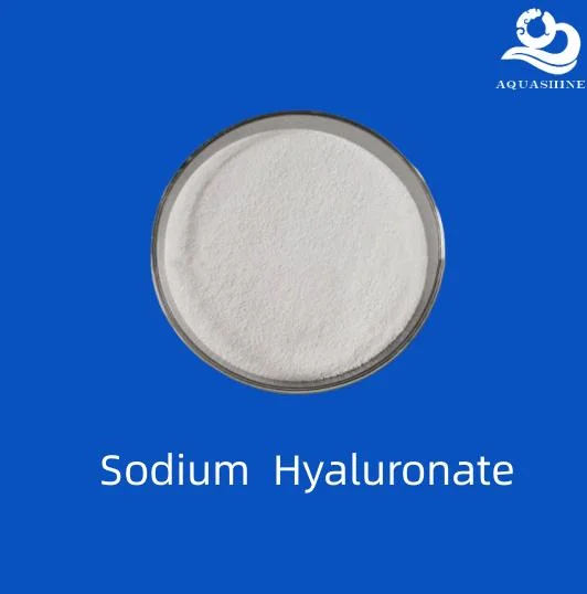 White Powder Sodium Hyaluronate Used in Beauty