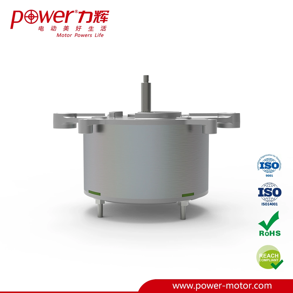 Non-Standard Smart Toilet Pump Motor 24V DC Motor