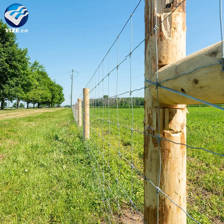 Hohe Zugspannung Verzinkter Draht Mesh Geflügel Vieh Schafe und Ziegen Bauernhof Zaun Gewofener Hirsch Bauernhof Zaun