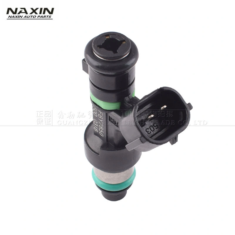 Hot Sales Fuel Injector Nozzle for Nissan 16600-En200 Fby2850