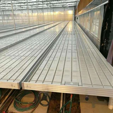 120*240 Cm Production Greenhouse Horticulture Gardening Products Tidal Seedbed Tables Rolling Bench