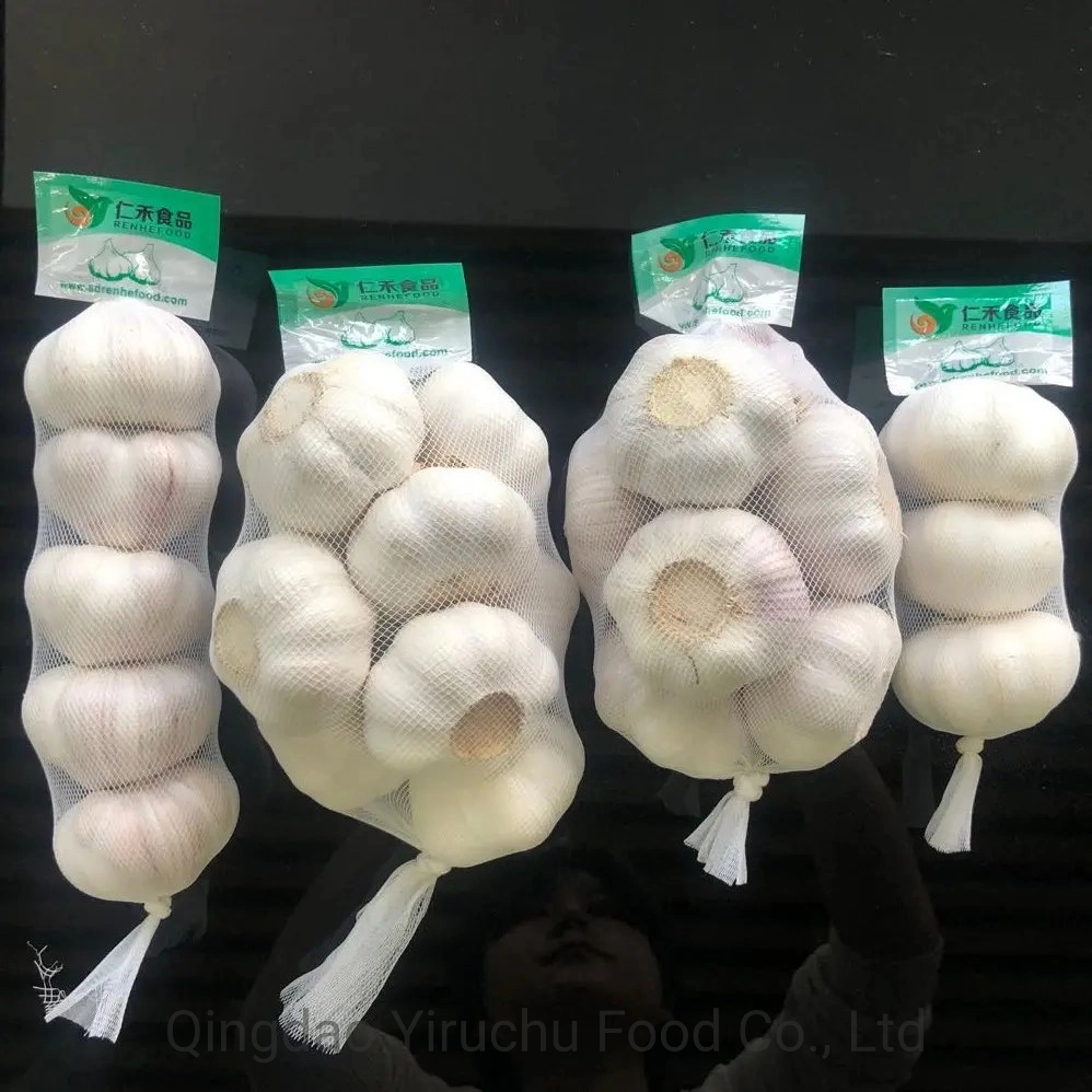 Normal White Fresh Garlic New Crop 2023