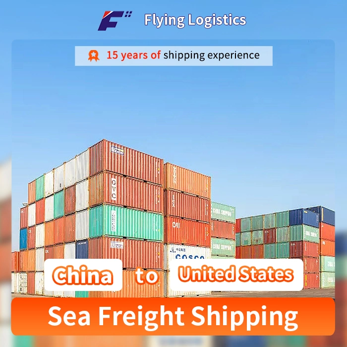 Professional Sea Shipment Agent Logistics Service From China to The United States