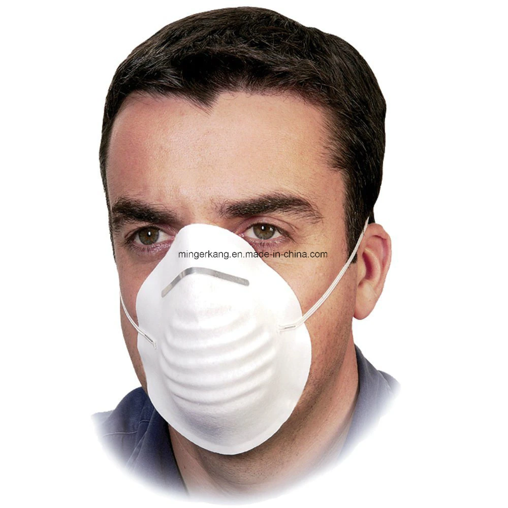 Dust Mask (HYKY-01615)