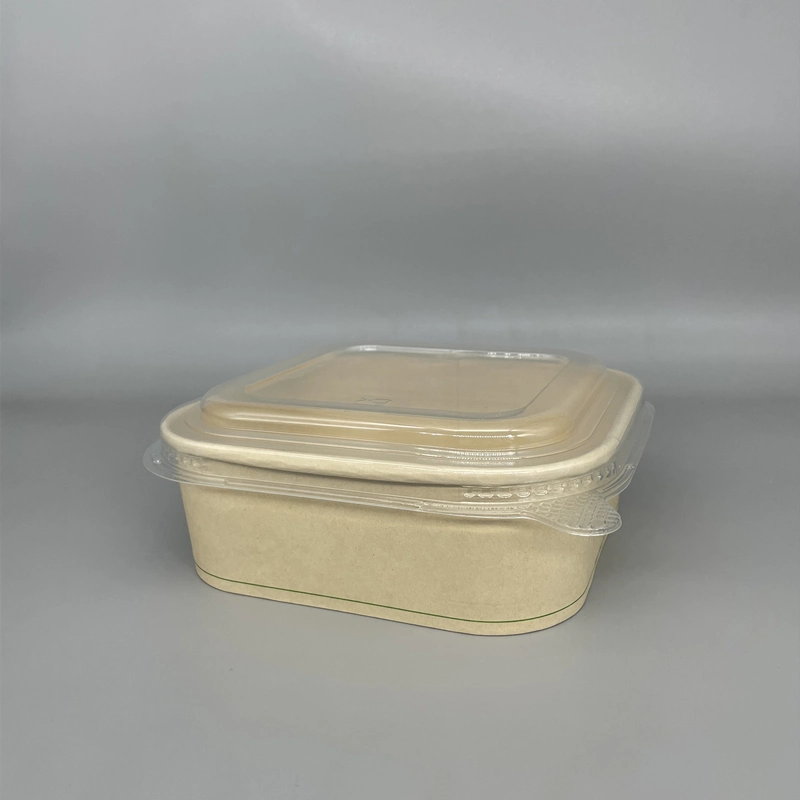 New Arrival PE/Biopbs/PLA Coating Bamboo Fiber Salad Bowl Noodle Paper Box Container