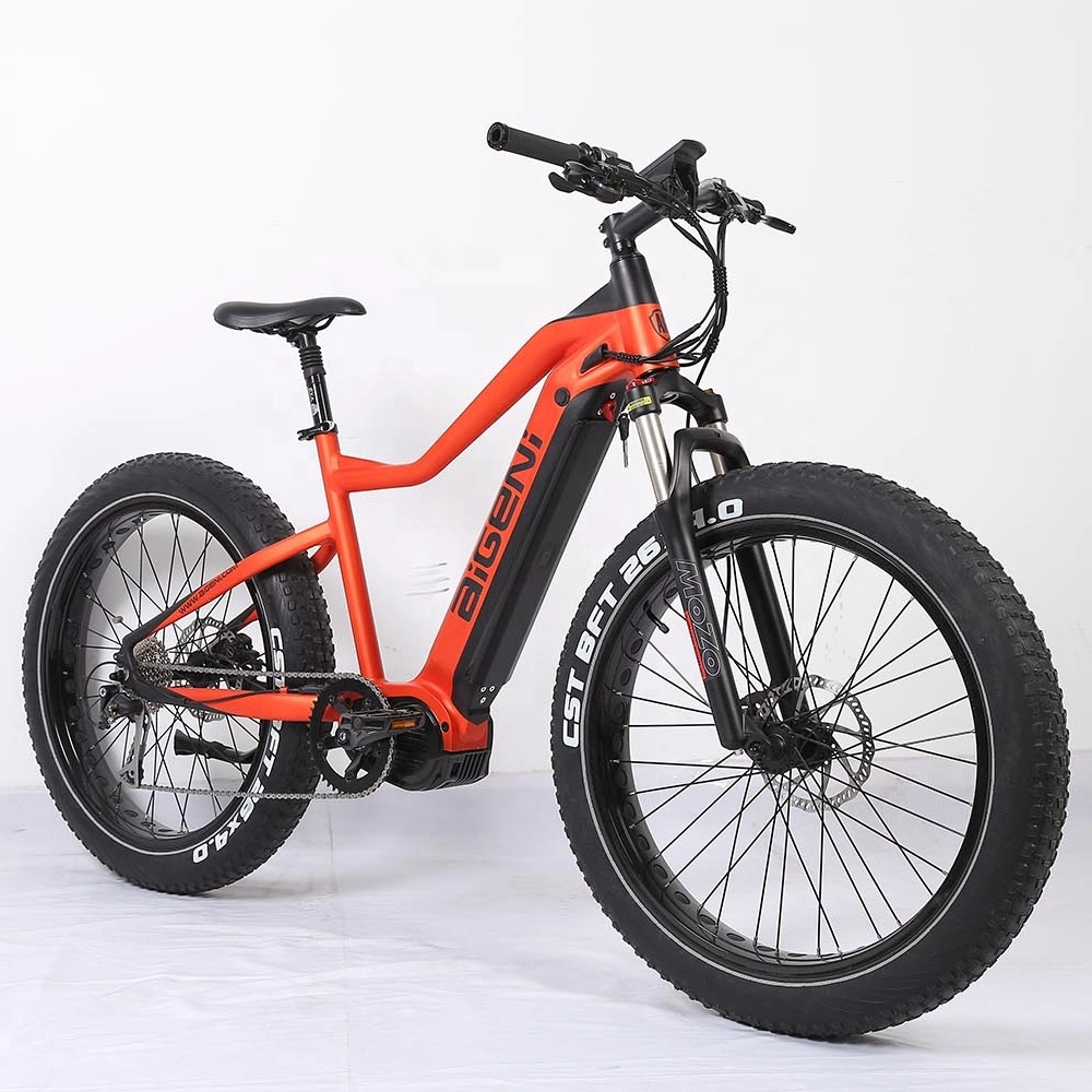 Strong 48V1000W M620 Middle Motor Powerful Electric Bike MTB E-Bike Retail Wholesale