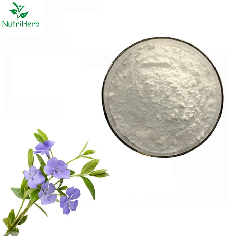 Raw Material Voacanga Africana Extract Powder Vinpocetine CAS 42971-09-5