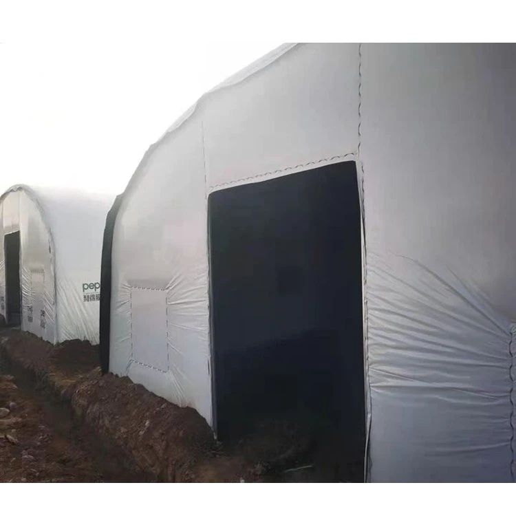 Agricultural Plastic Film Mushroom Planting Greenhouse