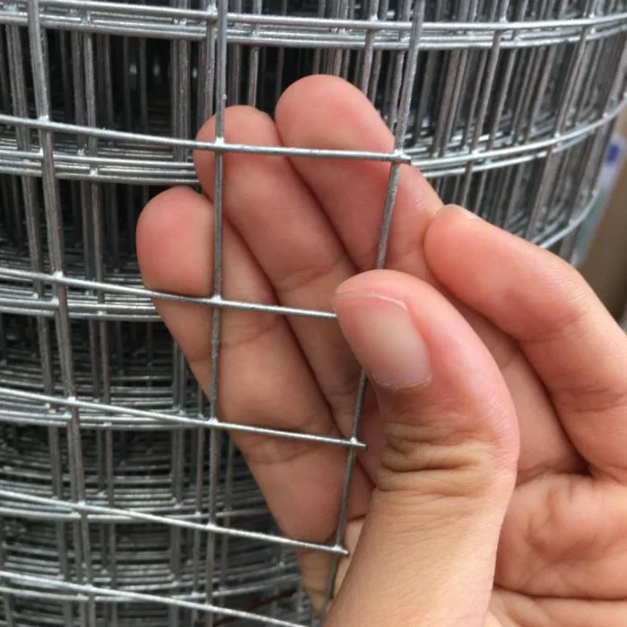 Hot Dipped Galvanized Steel Wire/Welded Wire Mesh
