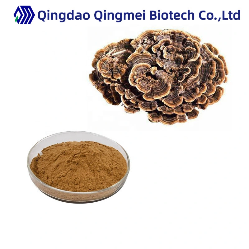 Natural Polysaccharide Yunzhi Mushroom Extract Coriolus Versicolor Extract