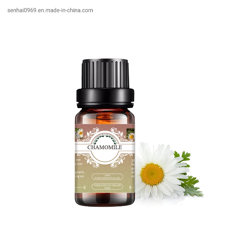 Best Price 100% Pure Natural Aromatherapy Perfume Massage Oil CAS 8015-92-7 Roman Blue Chamomile Essential Oil for Sale