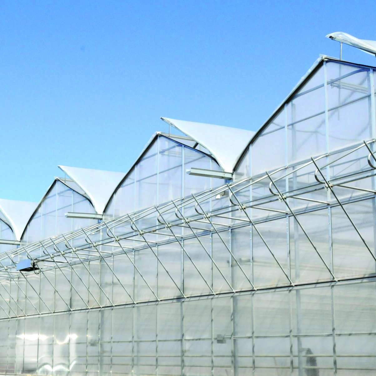 Cabrio Roof/Openable Roof Greenhouse/Film/Double Layer
