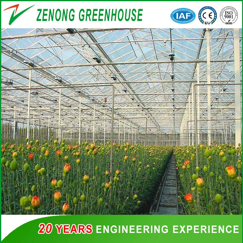 Glass Greenhouse for Exhibition/Seed Breeding/Ecological Restaurant/ Scientific Research