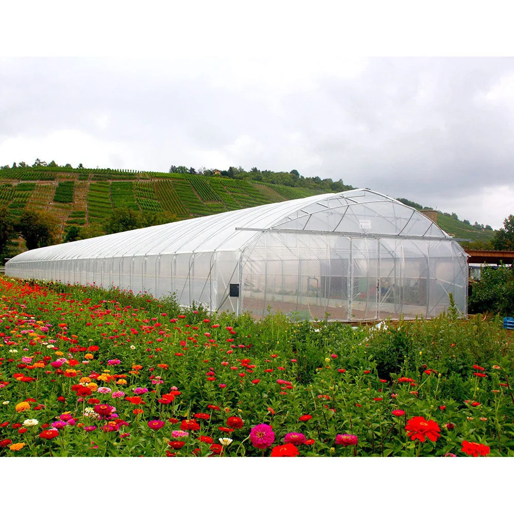 Hochwertige Gute Isolierung Wirkung Kleine Green House Andere Gewächshäuser