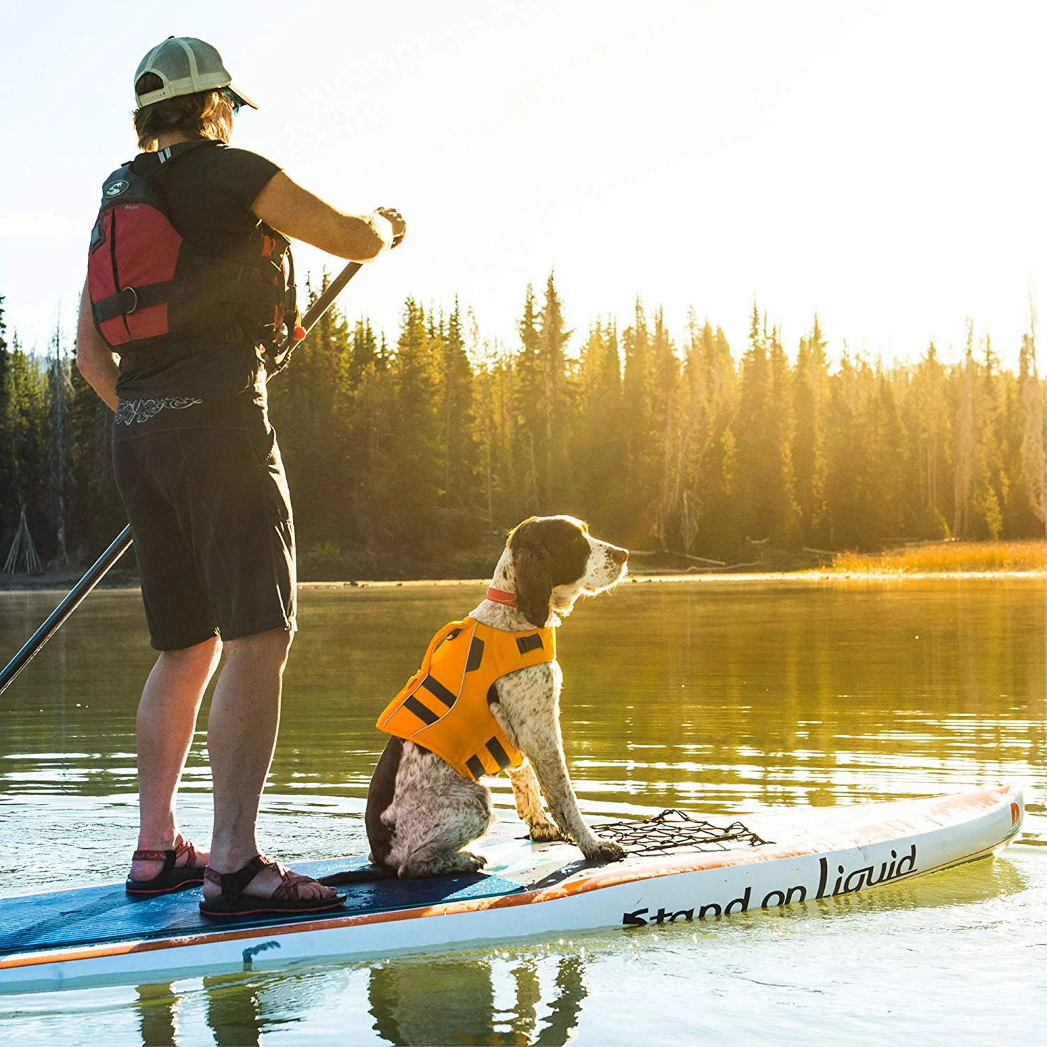 Adjustable and Reflective Strip Dog Life Jacket