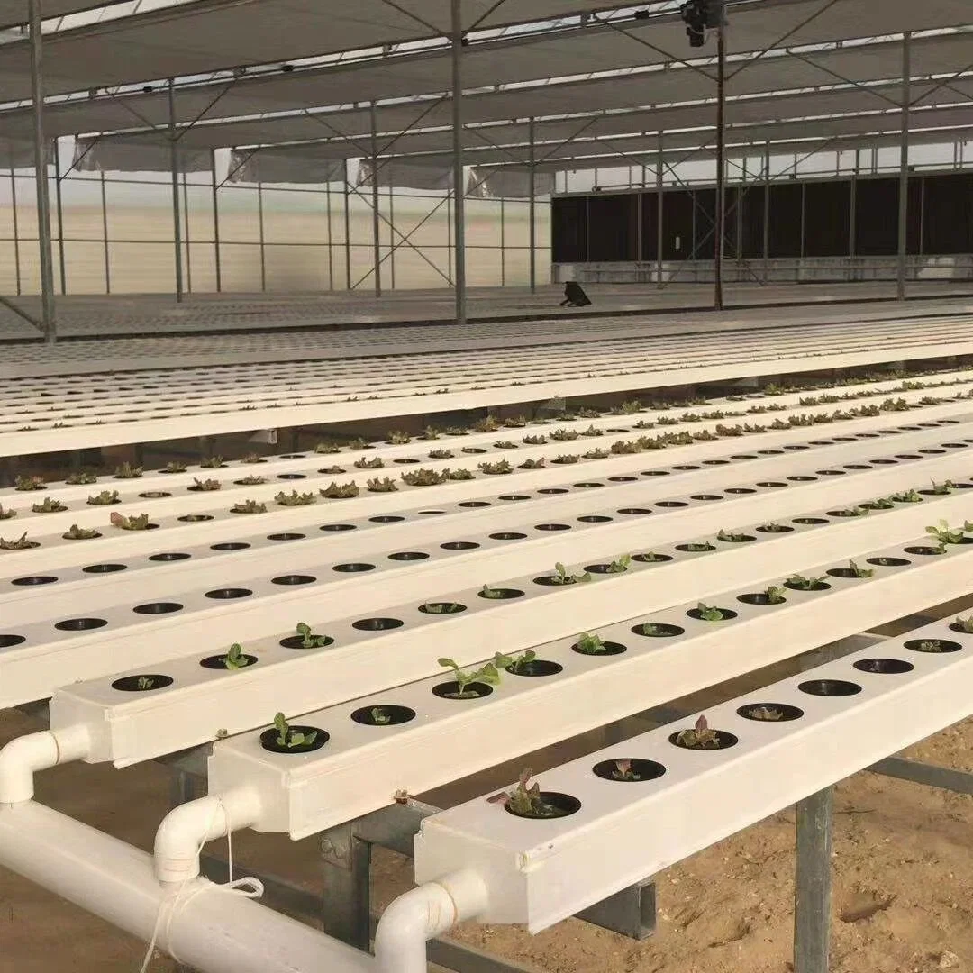 Hydroponics System Indoor Irrigation System Used Hydroponic Systems for Sale