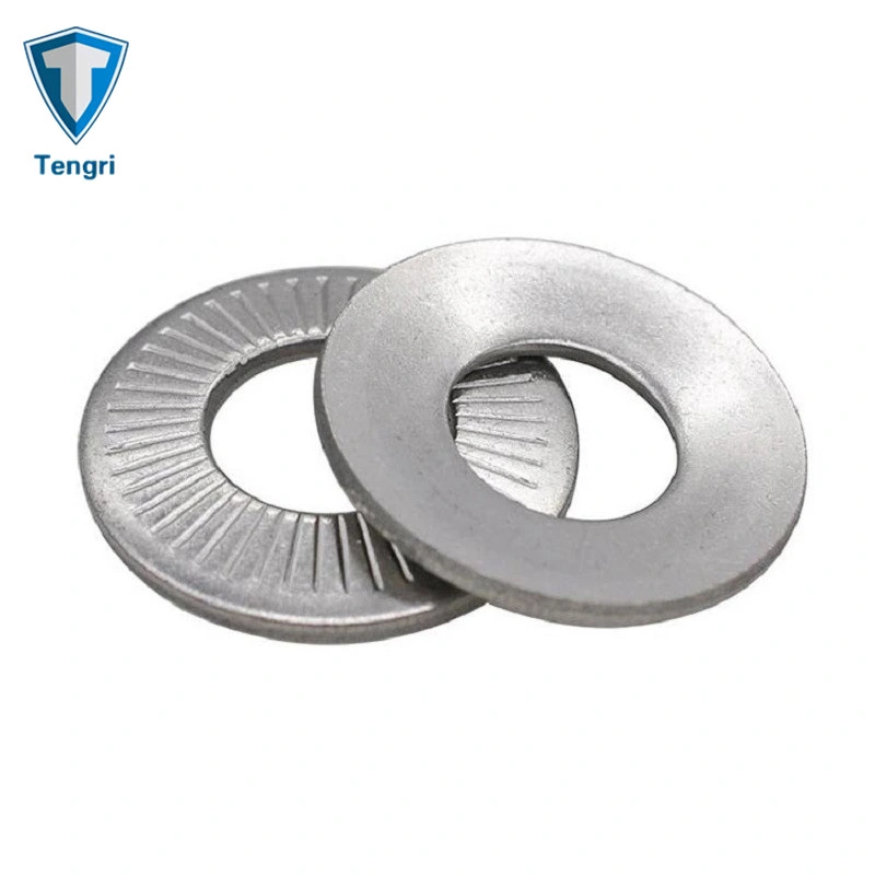 Stainless Steel 316 Spring Knurling Lock Washer for Auto Parts