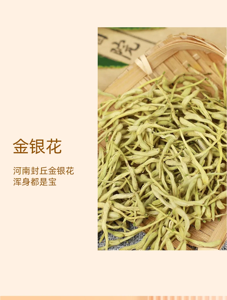 Factory OEM Enhanced Resistance Chrysanthemum Sydney Tea Substitute