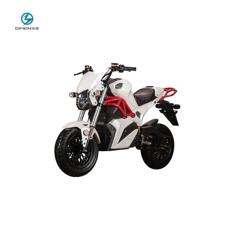 Powerful Two Wheel Electric Motorcycle with Removable Battery