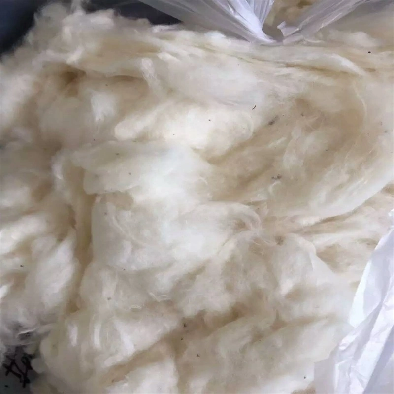 100% Organic Pure White Cotton Fiber