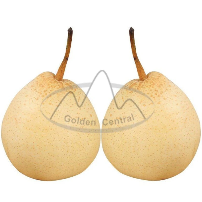 Hot Selling Super Sweet Fresh Fruit Ya Pears in Factory Price