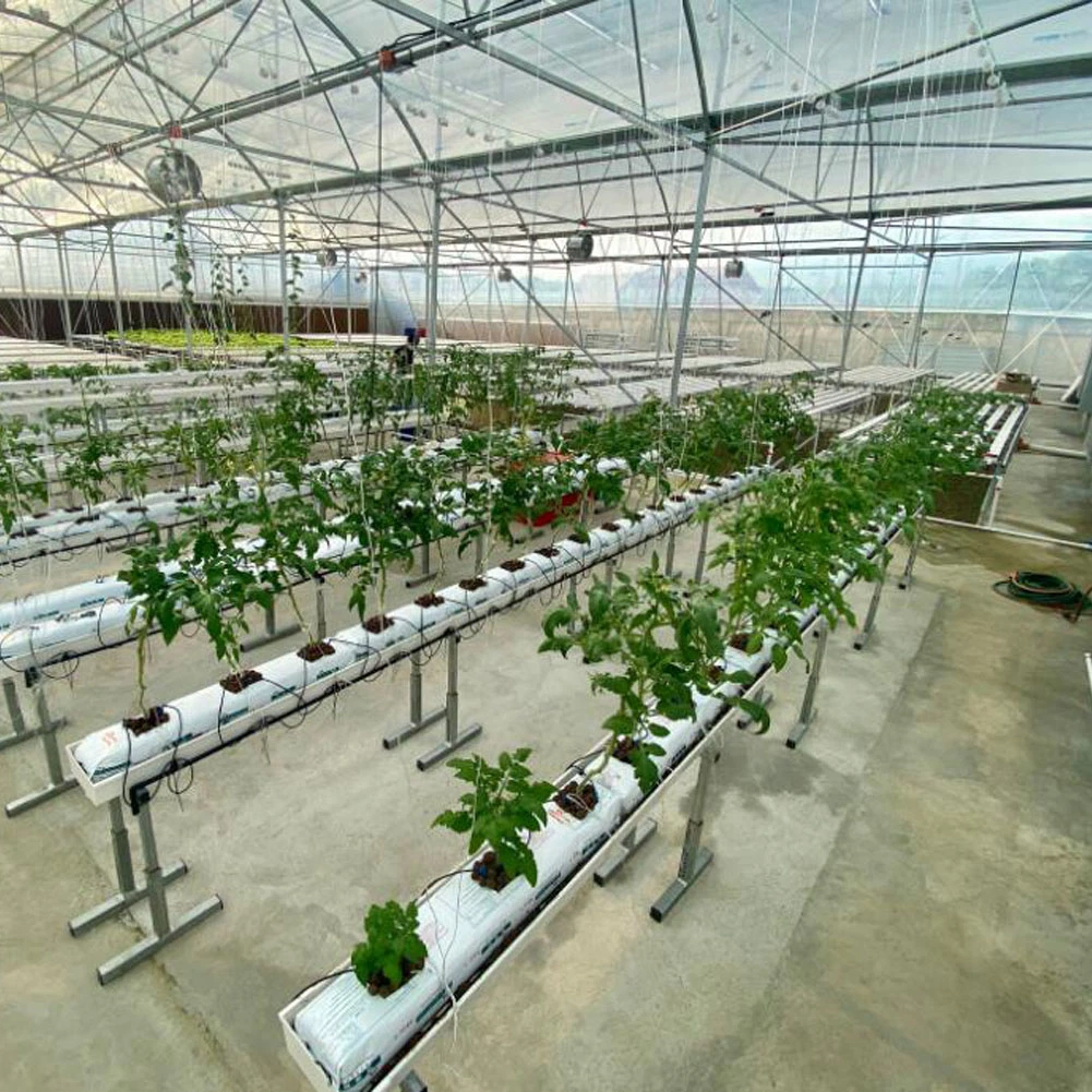 Commercial Tomato Plastic Growing Tube System Large Size PVC Pipe with Cocopeat Grow Bag Drip Irrigation System