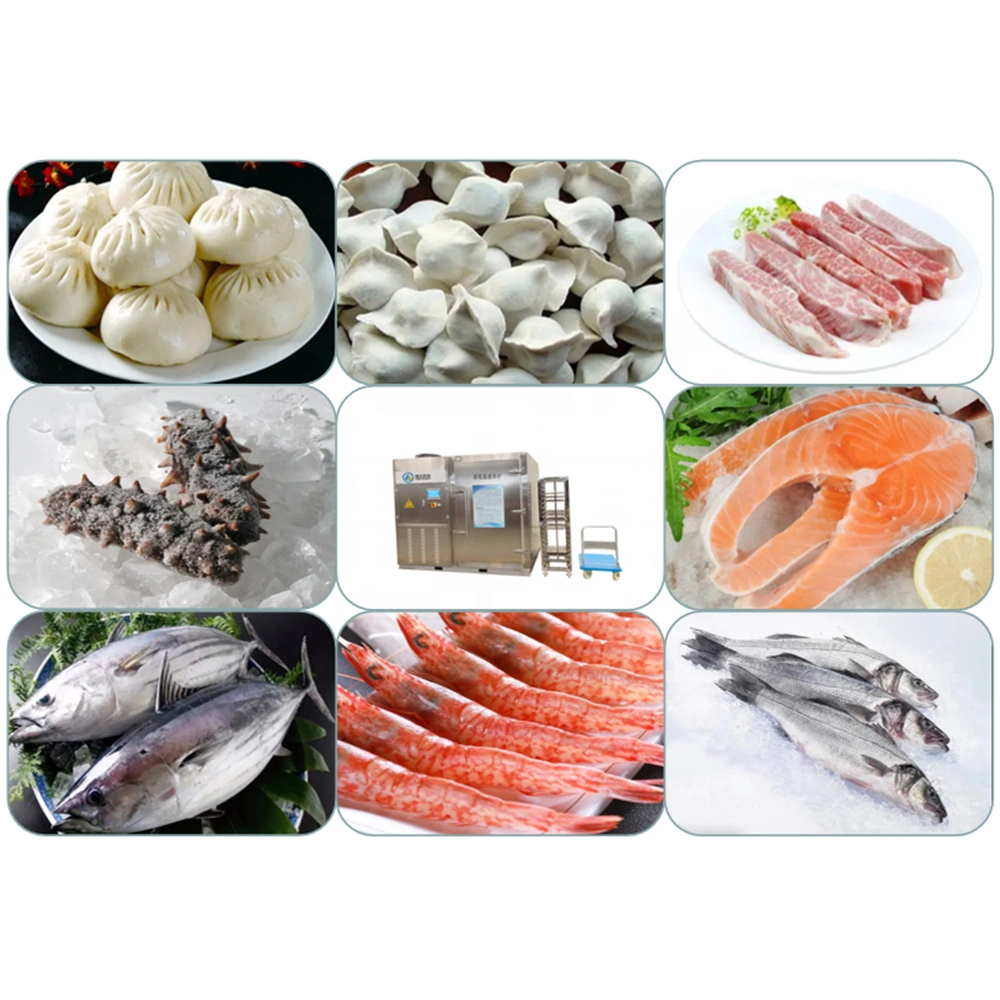 Steam Dumplings Small Portion Meat Block IQF Deep Freezer