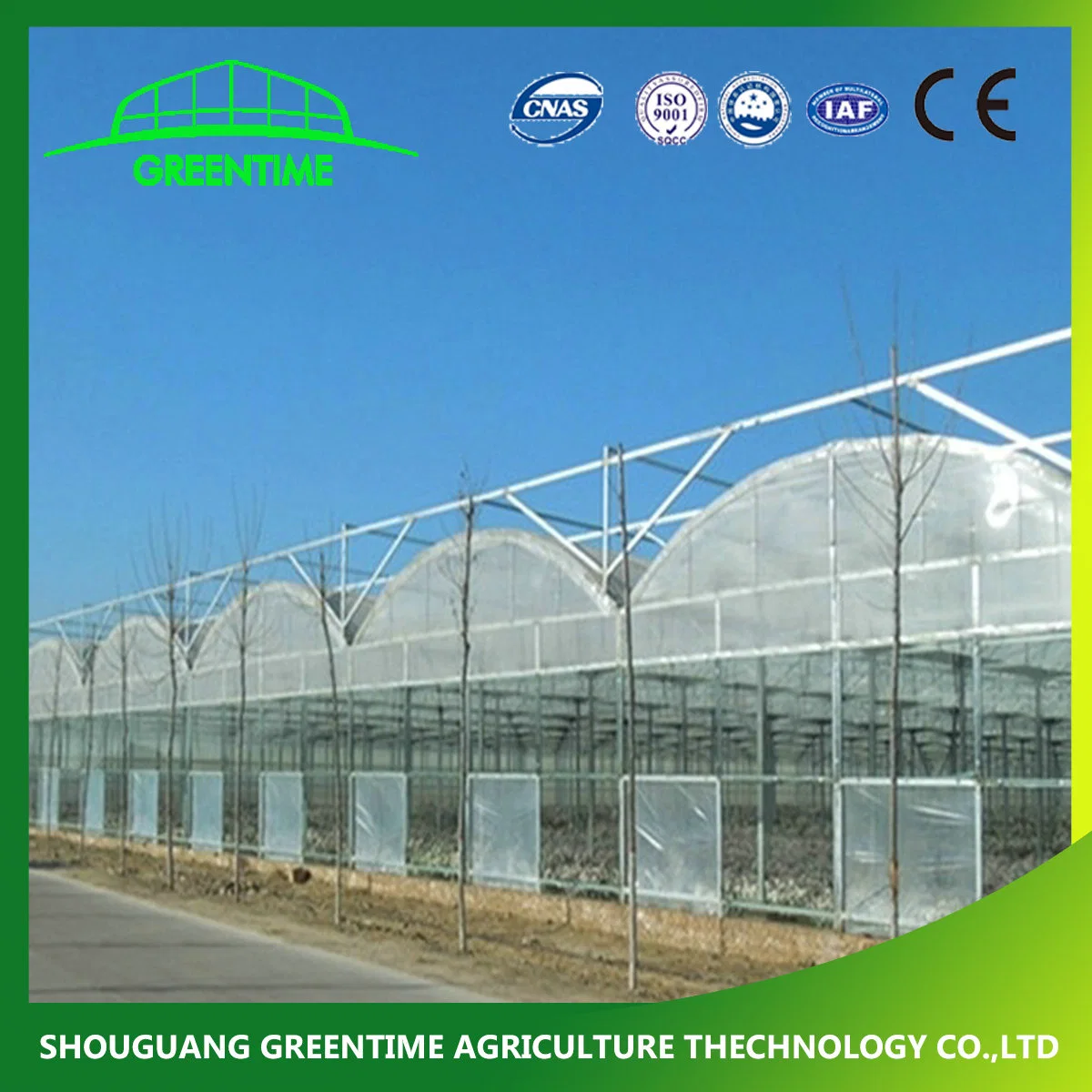 Hot Sale Multi-Span Film Agricultural Greenhouse for Planting Pepper