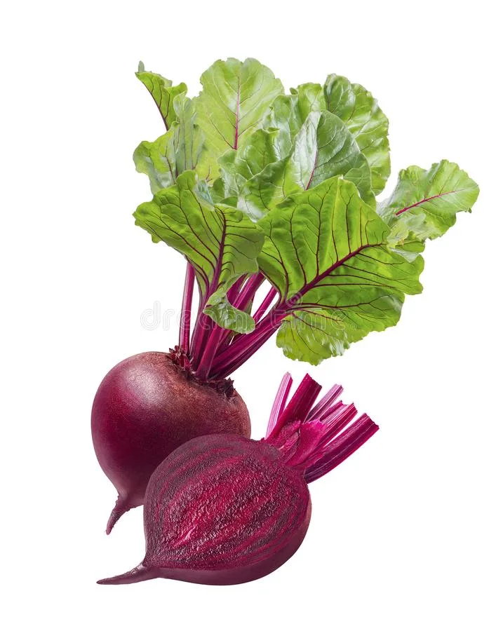 100% Pure Natural Red Beet Root Extract for Beverage Beta Vulgaris L. /Betaine