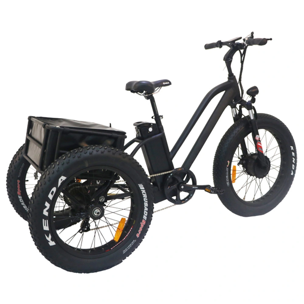 2000W Straße Legal Off-Road-Passagier Elektro-Motorrad-Kits Big Wheel Trike 2000W