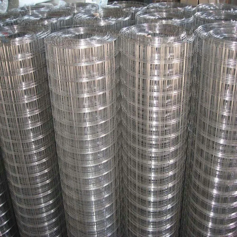 Galvanized Welded Wire Mesh Welded Wire Mesh Factory Direct Selling