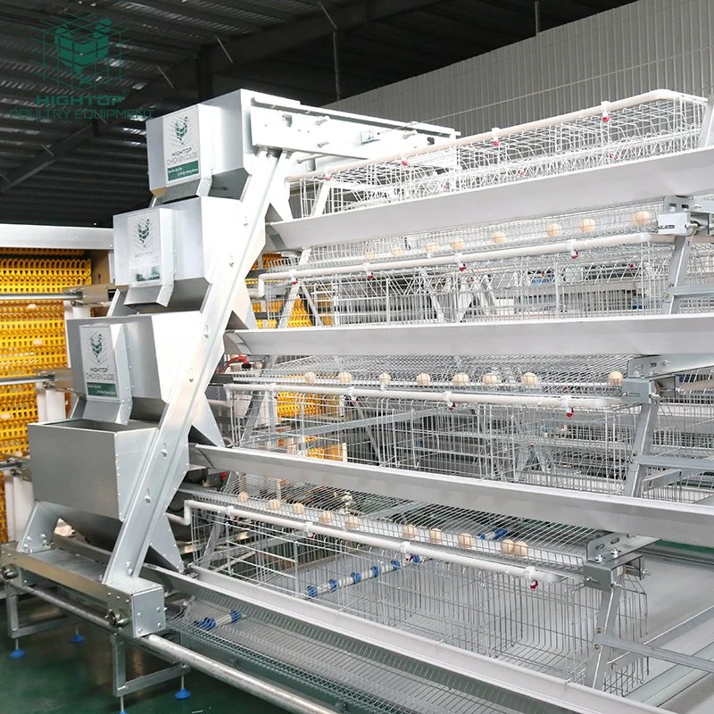 Chicken Farming Equipment Manufacturer Automatic Battery Laying Hens Egg Chicken Cages