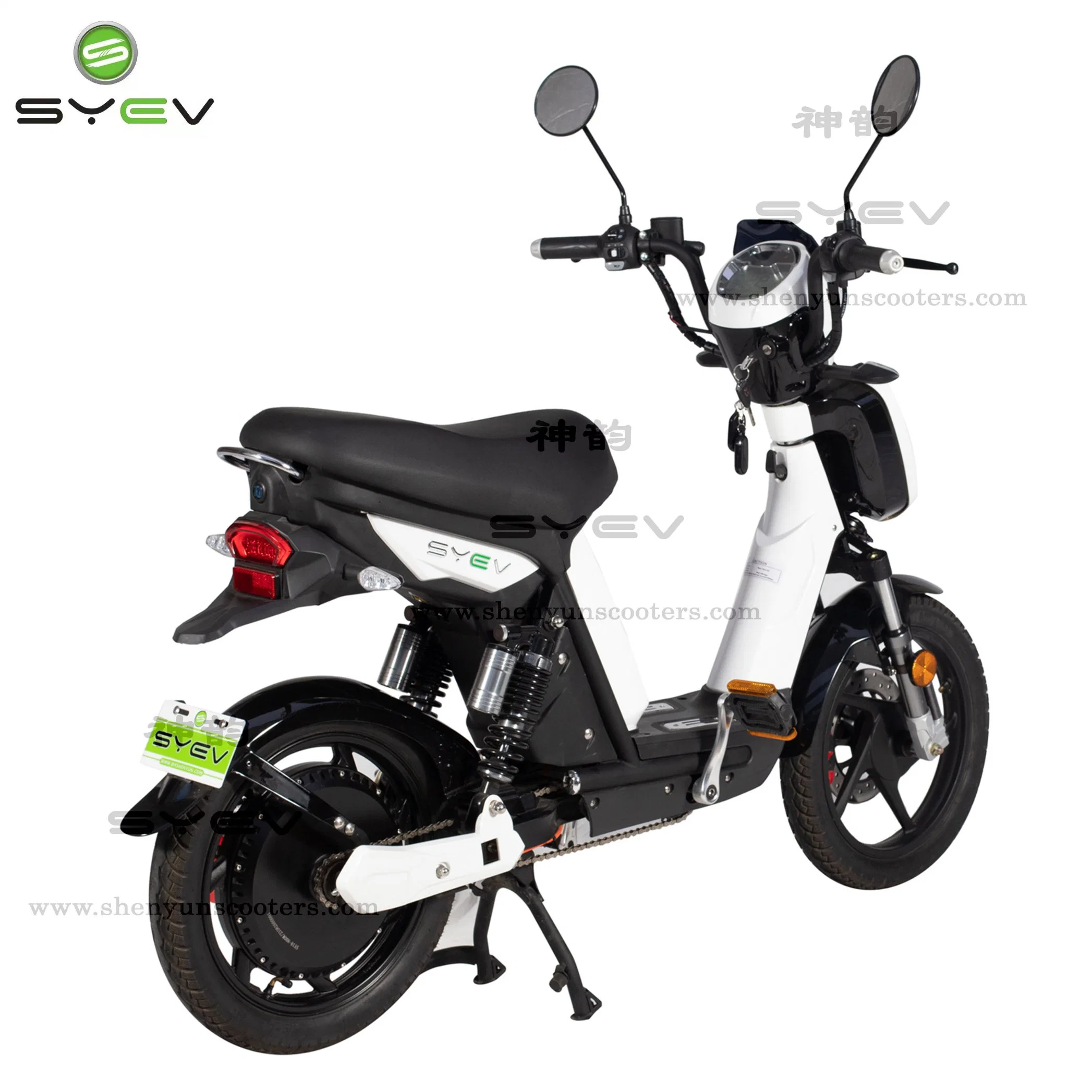 Original Factory 2 Rad Brushless DC Mot0r Elektro-Fahrrad für Erwachsene mit Big 18inch Vakuumreifen CE-Zulassung 800W