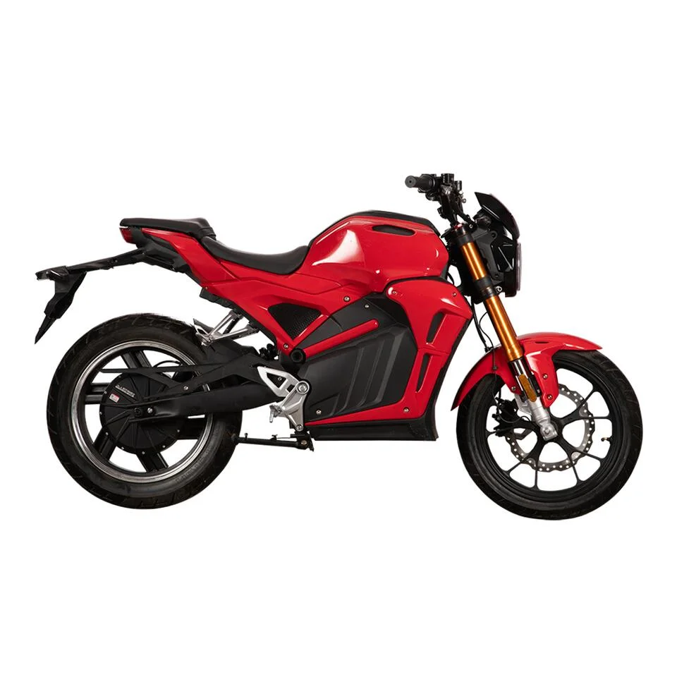 Manufacturer Wholesale/Supplier 100km/H E Motorbike Electric Motorcycle with Battery Cg Other Motorcycles