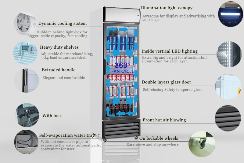 Restaurante Venta caliente Vitrina armario refrigerador vertical para frutas y hortalizas