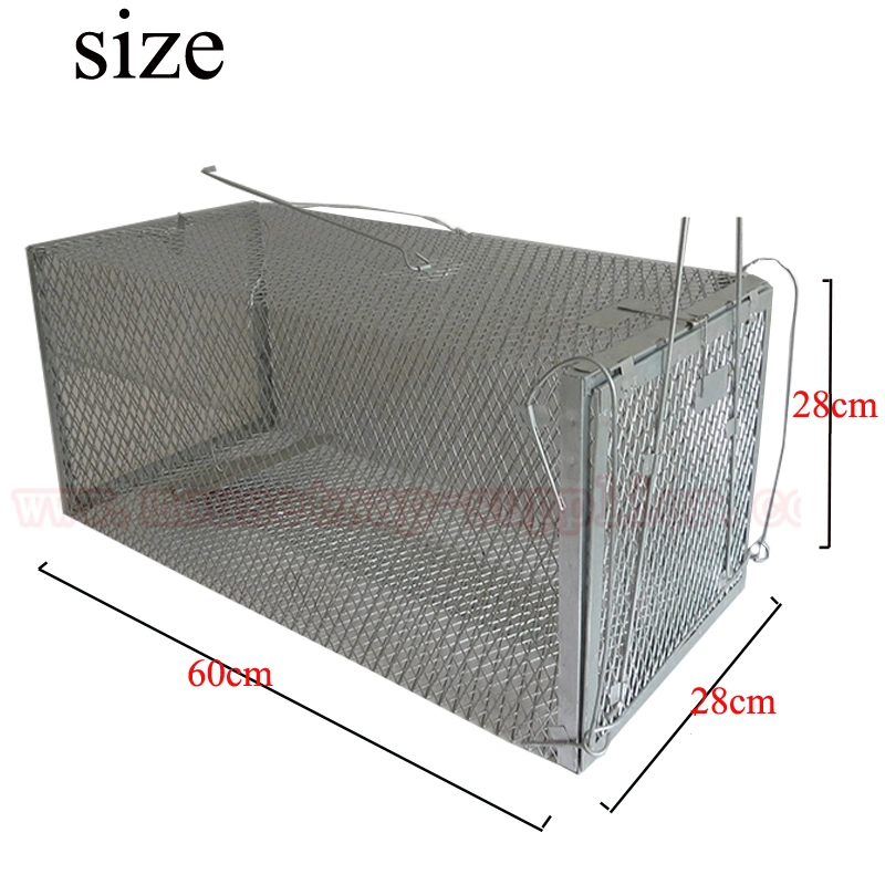 Langlebige Mesh Cat und Weasel Trap Cage Live Catch Control Mit Einzeltür