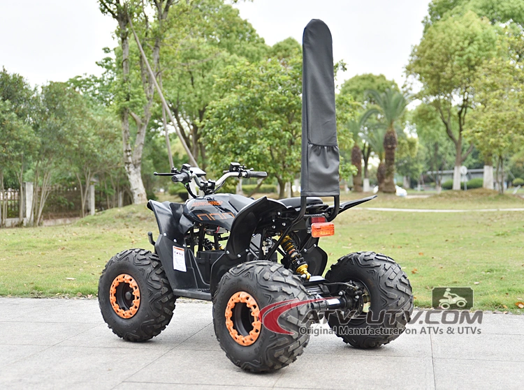 Moto 4 elétrica Quad Biek de 48 V, 750 W, com motor sem escovas de corrente contínua (DC) Com ATV Quad EEC