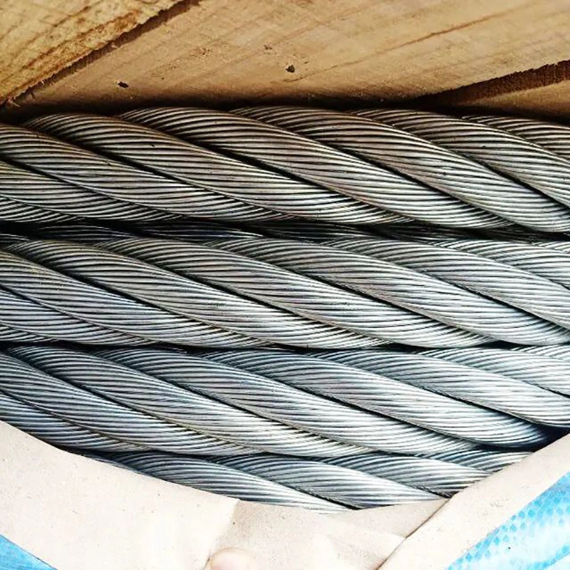 Hot Selling Steel Wire Rope 8 mm Gi Wire Rope for Electric Car with Better Price