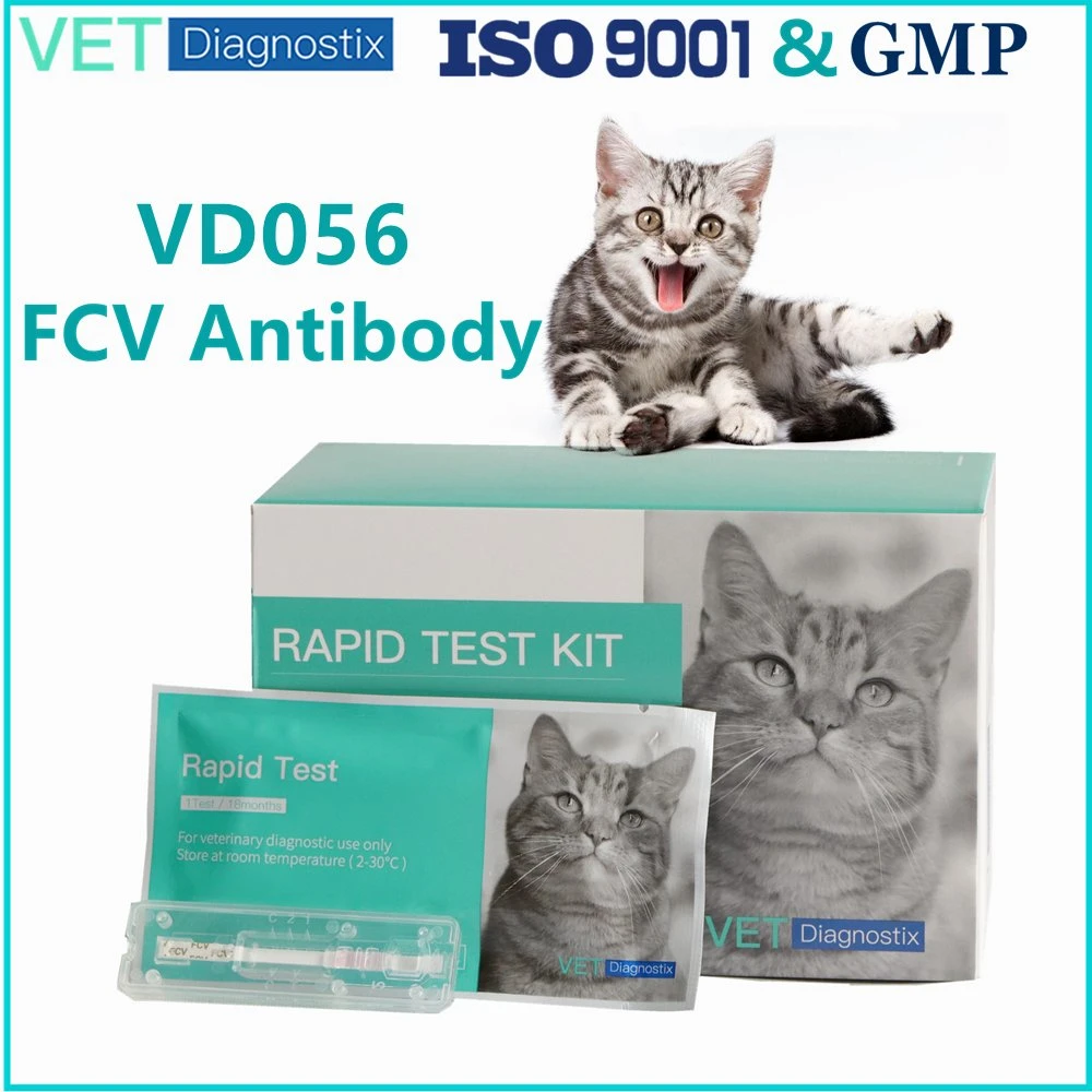 Veterinärtest Feline Calicivirus Antikörper Fcv Schnelldiagnosetest