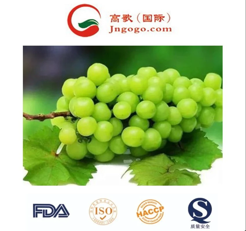 High Sweet Fresh Shine Muscat Grapes Natural Seedless Green Grapes