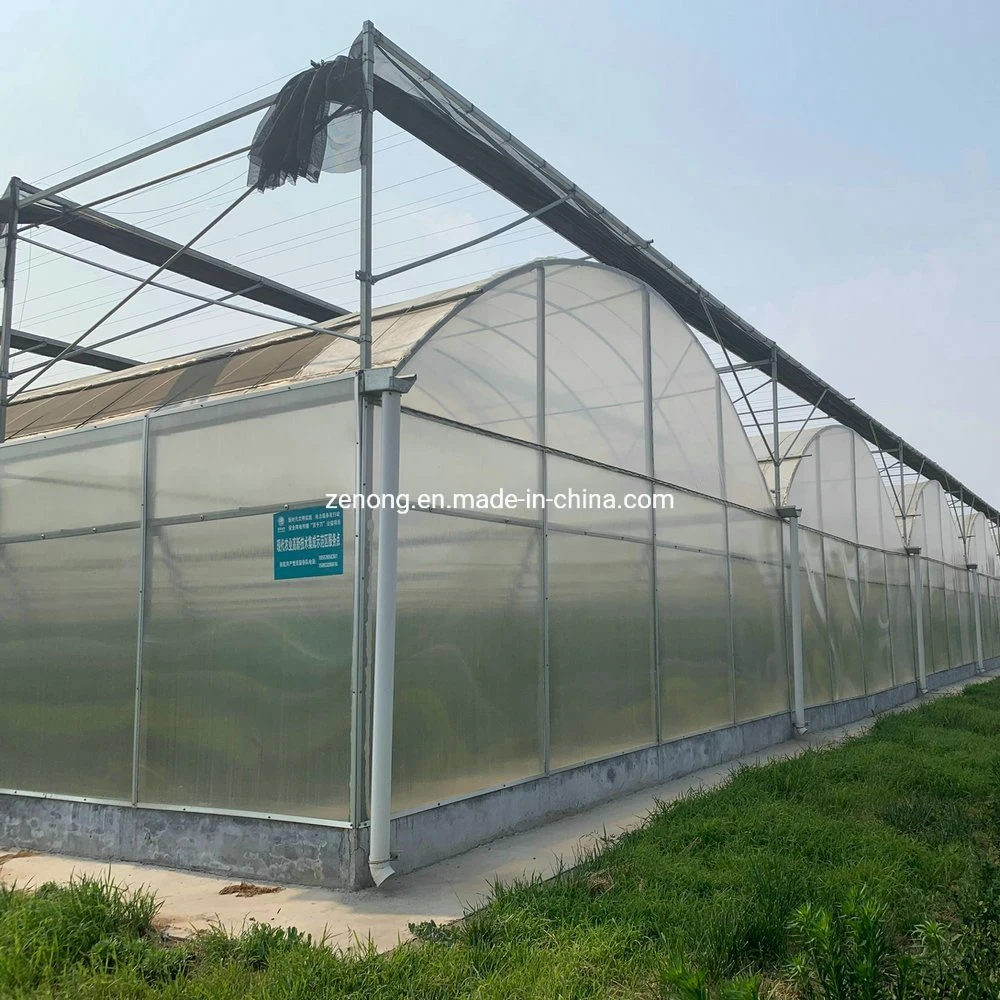 Hot DIP Galvanized Steel Frame Multi Span Glass Greenhouse for Sightseeing Restaurant