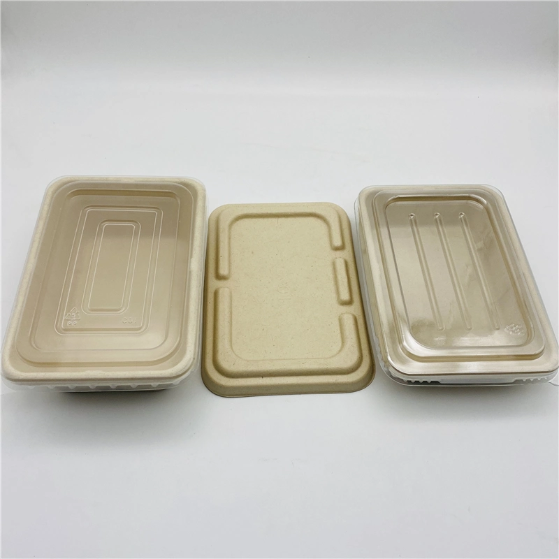 Caña de Azúcar biodegradables Clamshell Caja de comida para pasar el recipiente con tapa de bagazo /tapa de PP/PET tapa