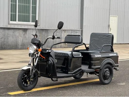 Saige eléctrico de ocio de la ciudad de pasaje adulto Trike CEE E-Trike