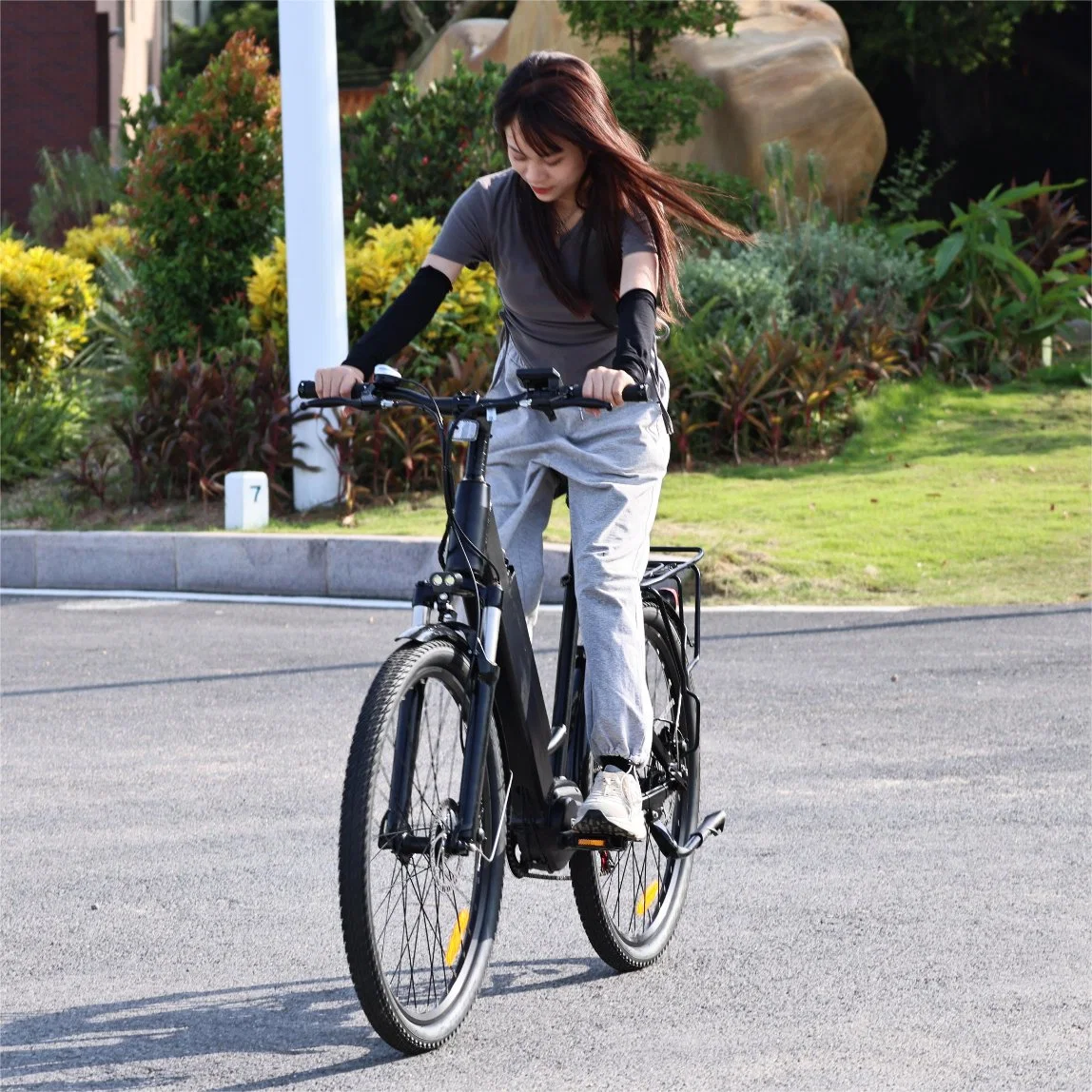 Factory Direct China High Speed Electric Bike 750W 1000W Hidden Battery MID Drive Electric Bike 48V Electric Bike