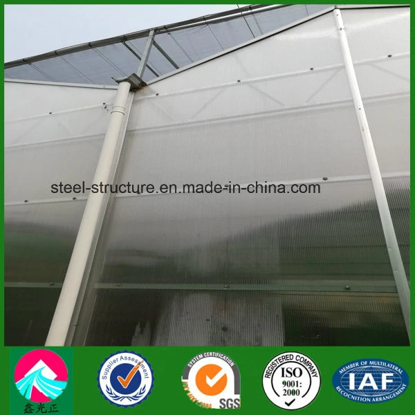 China Supplier Low Cost Multi-Span Glass Greenhouse