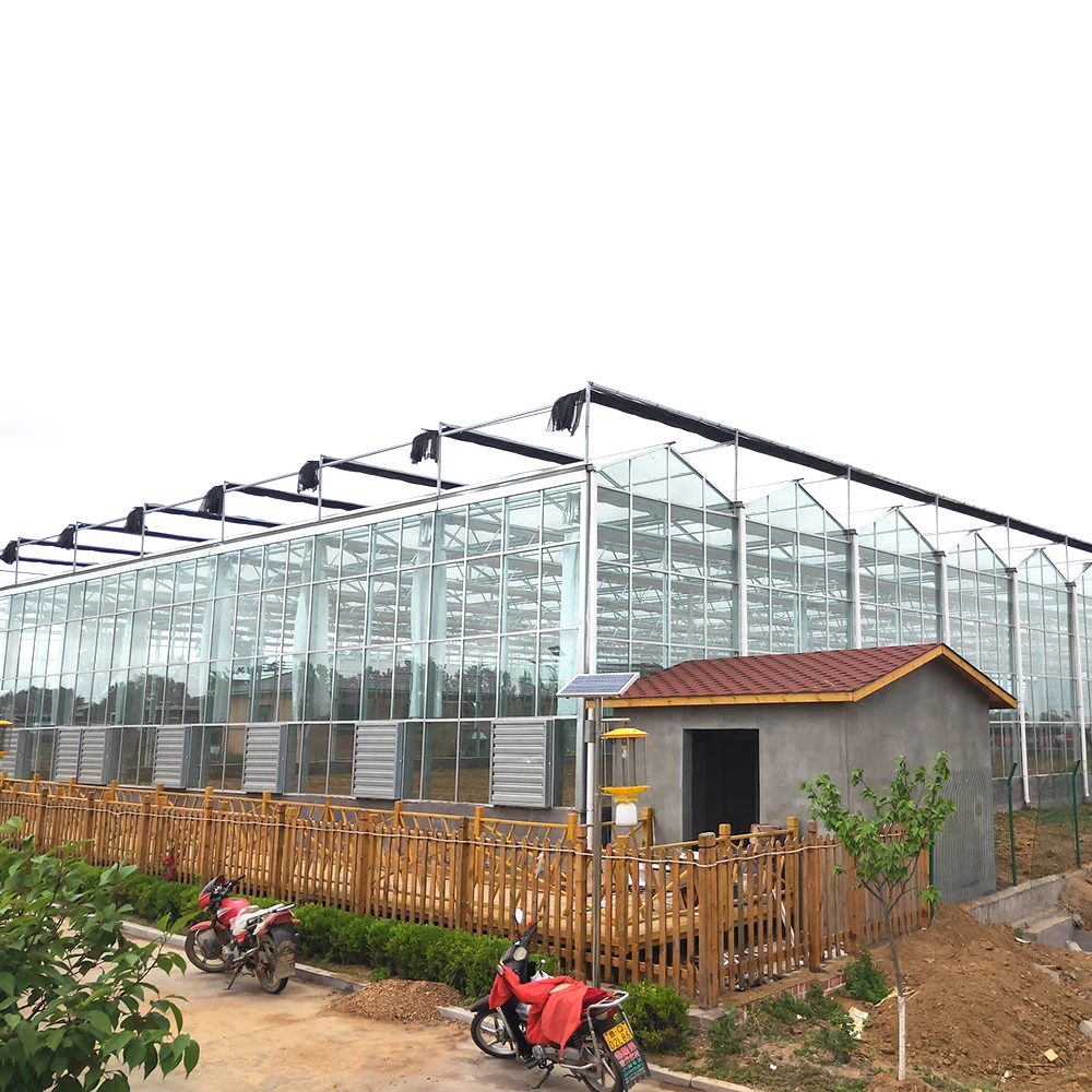 Modern Agriculture/Commercial Multispan-Glass Greenhouse with Hydroponics System Cooling/Heating System