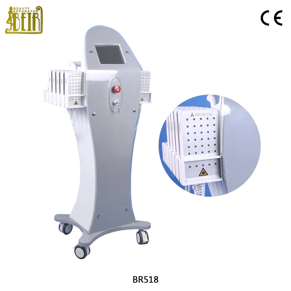 Vertical Dual Diodo Wavelength Precio De Lipolaser 650nm 980nm Lipo Laser Slimming Machine