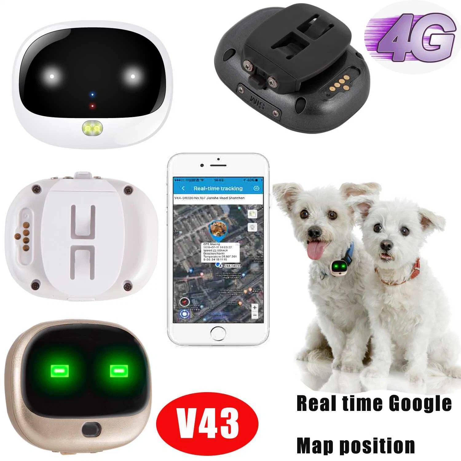 Fábrica China Waterproof IP67 4G Pets Tracker GPS para animales Gato de perros con PLATAFORMA DE APLICACIÓN gratuita V43