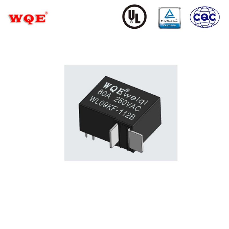 Breaking Current Mini 60A 250VAC Bistable Latching Relay for Charging Pile 1b Contact Form Wl09kf