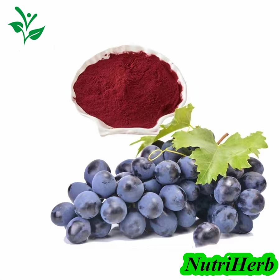 Alimento Natural Coloring Pigment polvo uva piel de uva de piel de uva roja Extraer